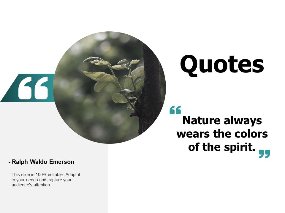 Quotes_Communication_Ppt_PowerPoint_Presentation_Styles_Slide_1.jpg