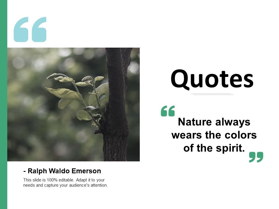 Quotes_Management_Ppt_PowerPoint_Presentation_Layouts_Format_Ideas_Slide_1.jpg