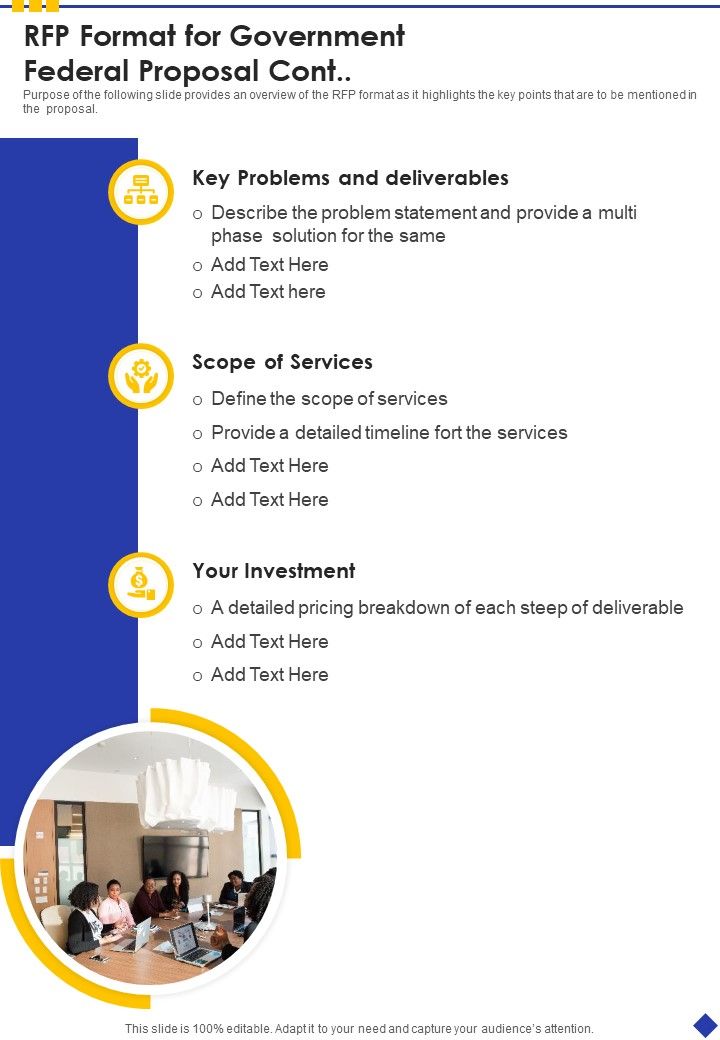 RFP Format For Government Federal Proposal One Pager Sample Example Document