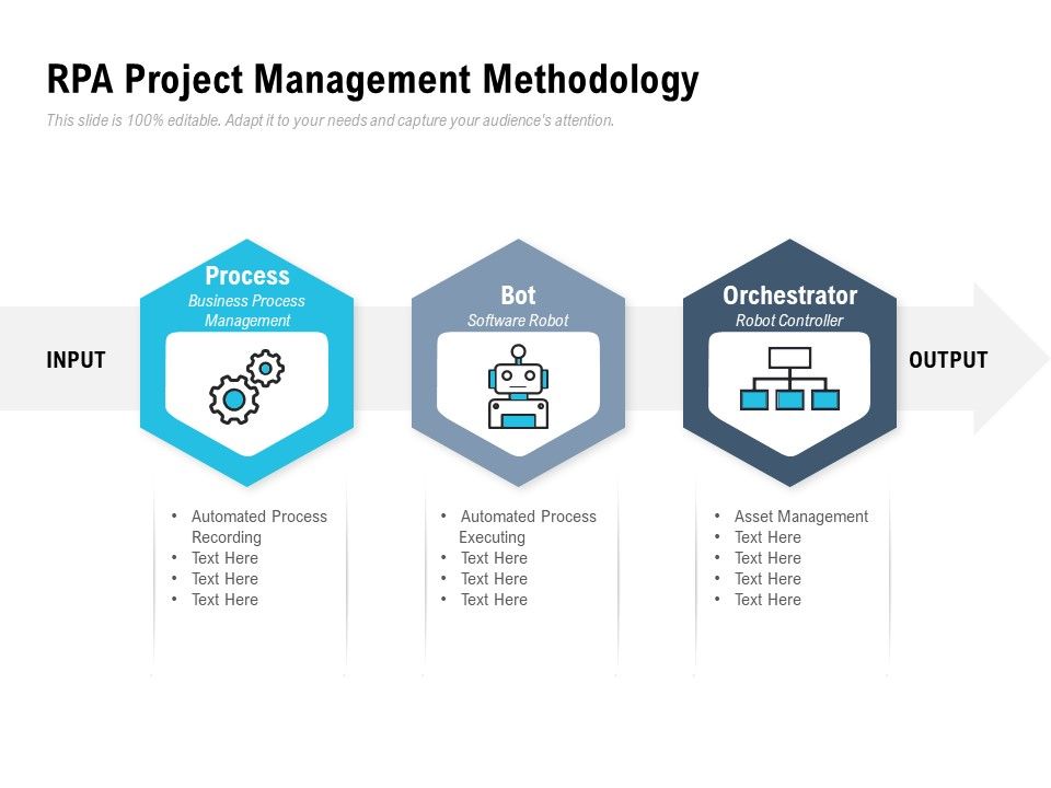 RPA_Project_Management_Methodology_Ppt_PowerPoint_Presentation_Slides_Layout_Ideas_Slide_1.jpg