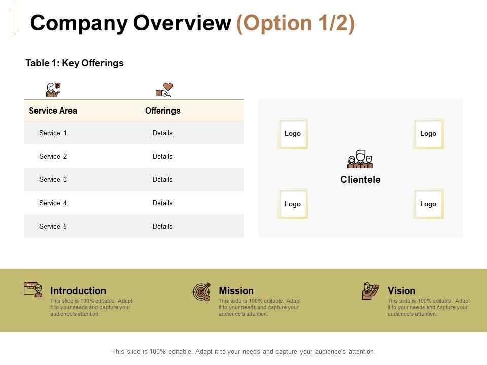 Raise_Capital_For_Business_Company_Overview_Ppt_Gallery_Demonstration_PDF_Slide_1.jpg
