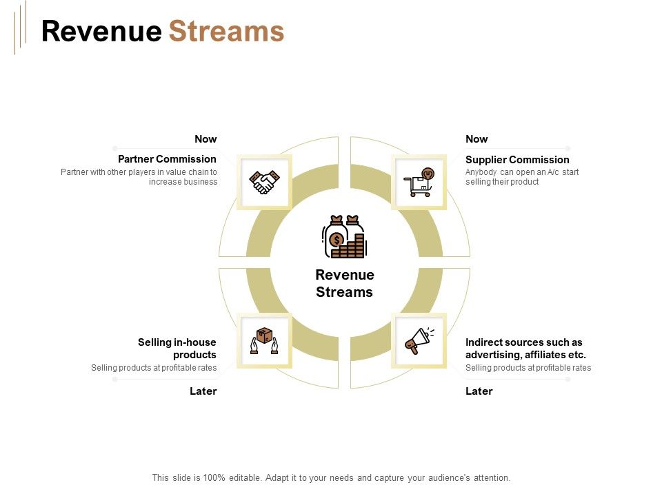 Raise_Capital_For_Business_Revenue_Streams_Ppt_Summary_Professional_PDF_Slide_1.jpg
