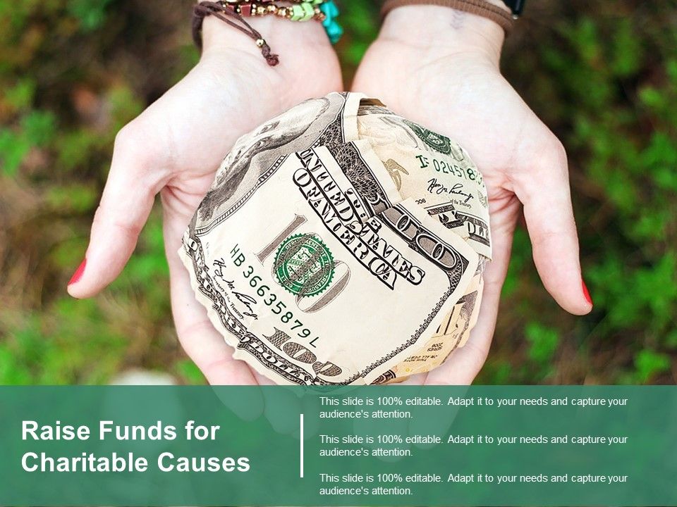 Raise_Funds_For_Charitable_Causes_Ppt_PowerPoint_Presentation_Infographics_Graphics_Pictures_Slide_1.jpg