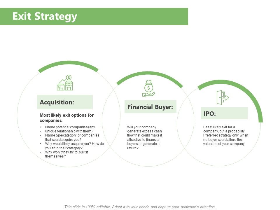 Raising_Funds_Company_Exit_Strategy_Ppt_Gallery_Example_PDF_Slide_1.jpg