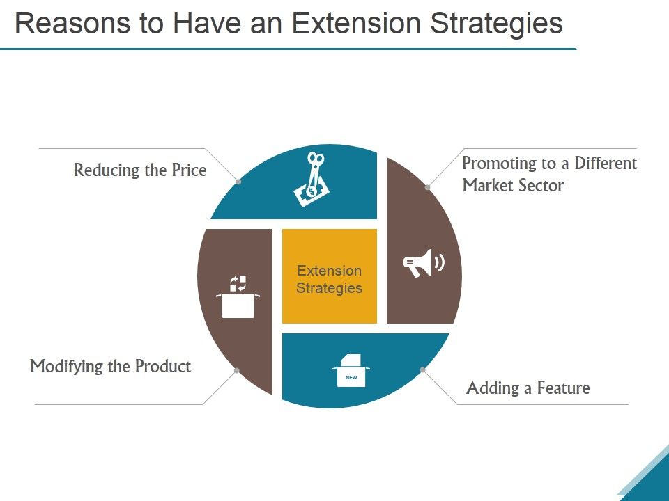 Reasons_To_Have_An_Extension_Strategies_Ppt_PowerPoint_Presentation_Designs_Download_Slide_1.jpg