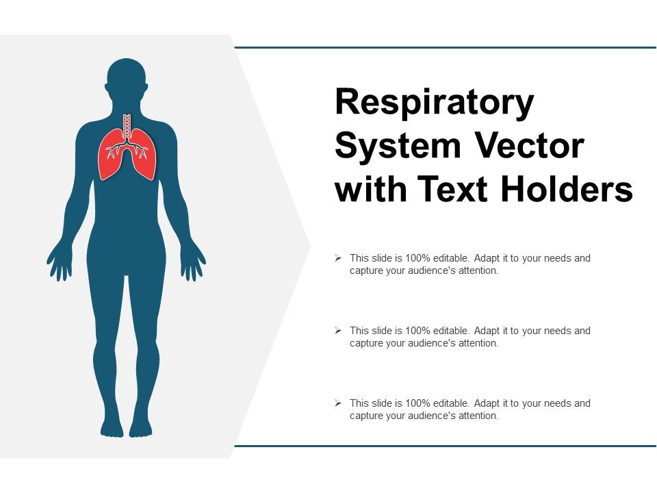 Respiratory_System_Vector_With_Text_Holders_Ppt_PowerPoint_Presentation_Show_Design_Ideas_Slide_1.jpg