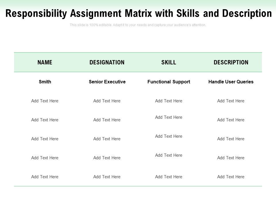 Responsibility_Assignment_Matrix_With_Skills_And_Description_Ppt_PowerPoint_Presentation_Ideas_Visuals_Slide_1.jpg