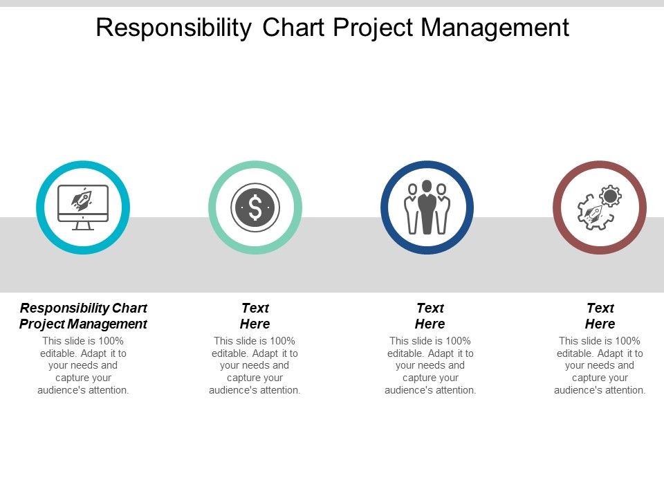 Responsibility_Chart_Project_Management_Ppt_PowerPoint_Presentation_Show_Graphics_Design_Cpb_Slide_1.jpg