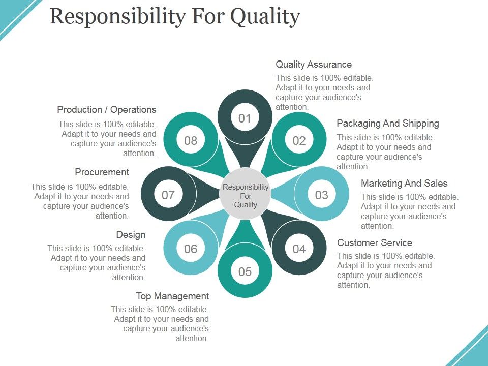 Responsibility_For_Quality_Ppt_PowerPoint_Presentation_Outline_Styles_Slide_1.jpg