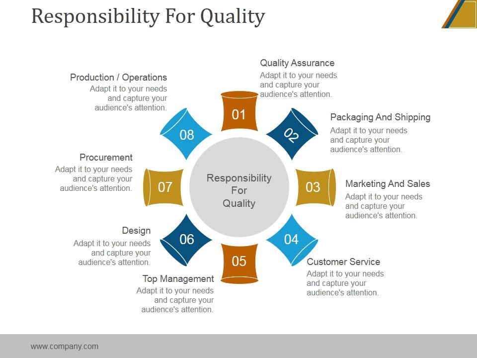 Responsibility_For_Quality_Ppt_PowerPoint_Presentation_Portfolio_Slide_1.jpg