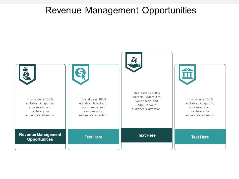 Revenue_Management_Opportunities_Ppt_PowerPoint_Presentation_Styles_Shapes_Cpb_Slide_1.jpg