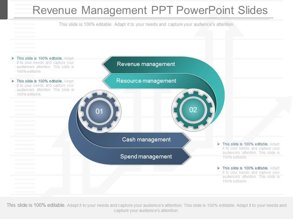 Revenue_Management_Ppt_Powerpoint_Slides_1.jpg