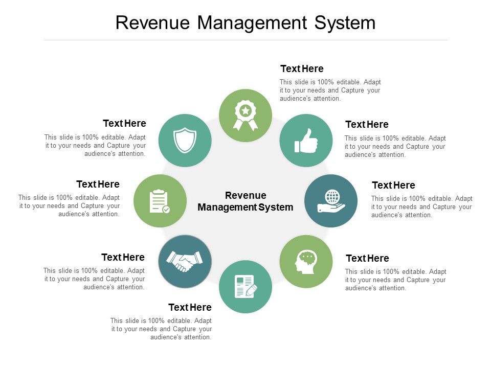 Revenue_Management_System_Ppt_PowerPoint_Presentation_Model_Example_Cpb_Slide_1.jpg