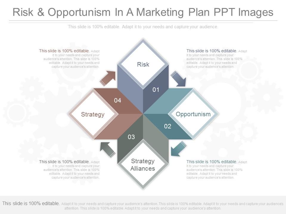 Risk_And_Opportunism_In_A_Marketing_Plan_Ppt_Images_1.jpg
