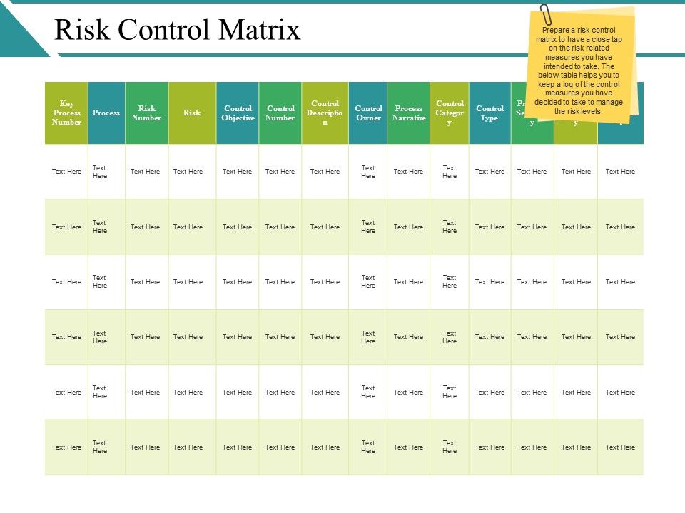 Risk_Control_Matrix_Ppt_PowerPoint_Presentation_Slides_Introduction_Slide_1.jpg