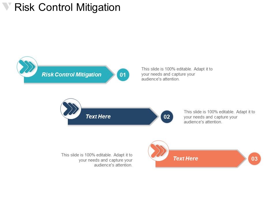 Risk_Control_Mitigation_Ppt_PowerPoint_Presentation_Gallery_Designs_Cpb_Slide_1.jpg