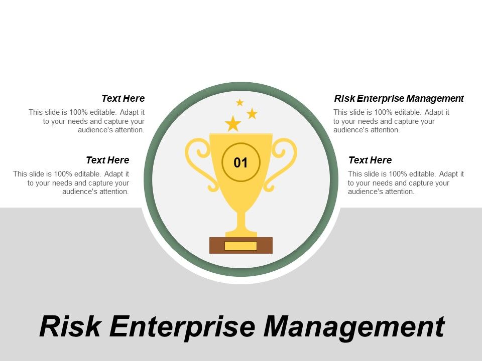 Risk_Enterprise_Management_Ppt_PowerPoint_Presentation_Gallery_Visuals_Cpb_Slide_1.jpg