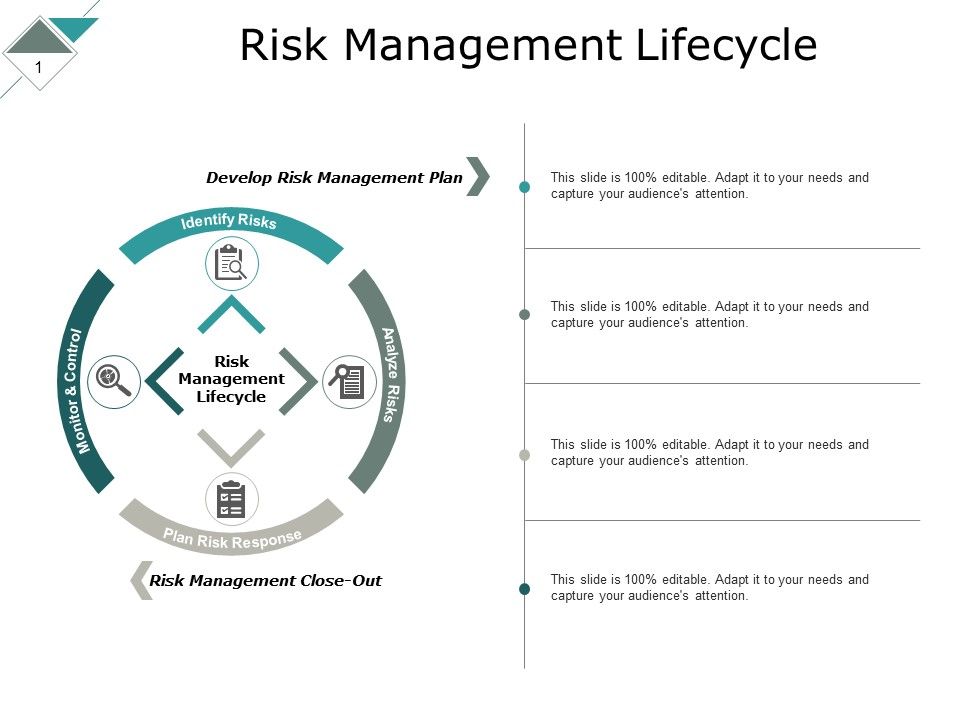 Risk_Management_Lifecycle_Ppt_PowerPoint_Presentation_Ideas_Graphic_Tips_Slide_1.jpg