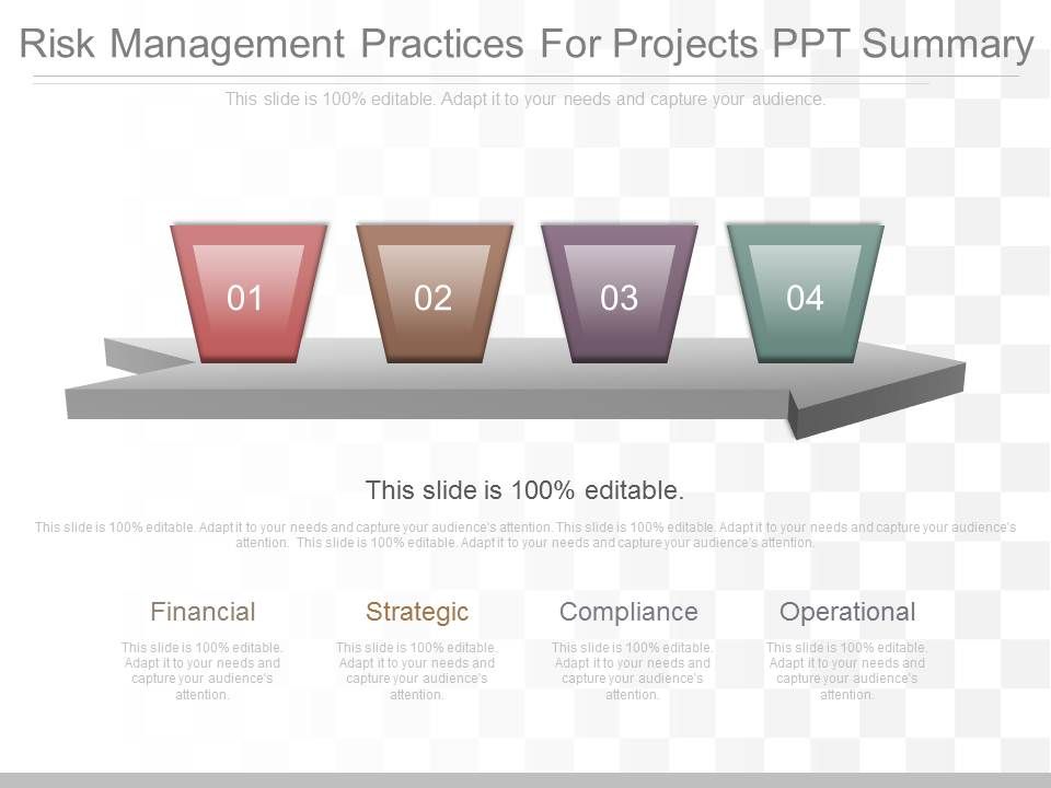 Risk_Management_Practices_For_Projects_Ppt_Summary_1.jpg