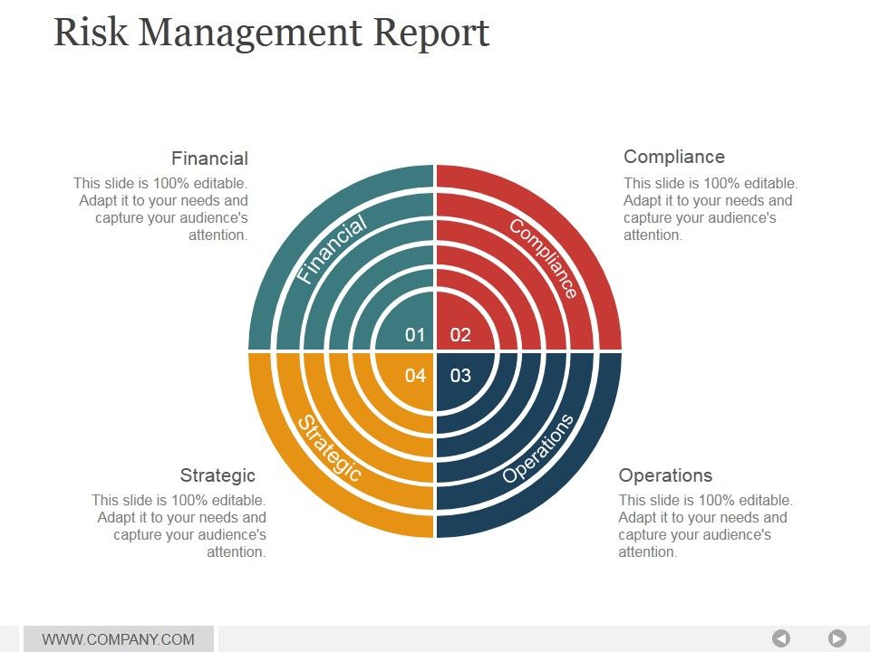Risk_Management_Report_Ppt_PowerPoint_Presentation_Designs_Slide_1.jpg