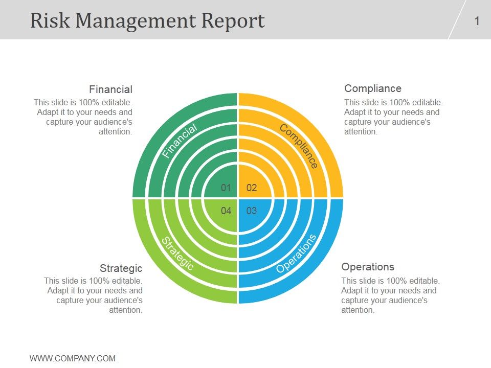 Risk_Management_Report_Ppt_PowerPoint_Presentation_Summary_Slide_1.jpg