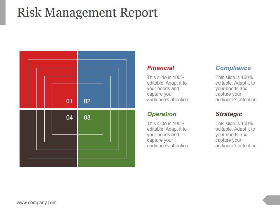 Risk_Management_Report_Template_2_Ppt_PowerPoint_Presentation_Slides_Slide_1.jpg
