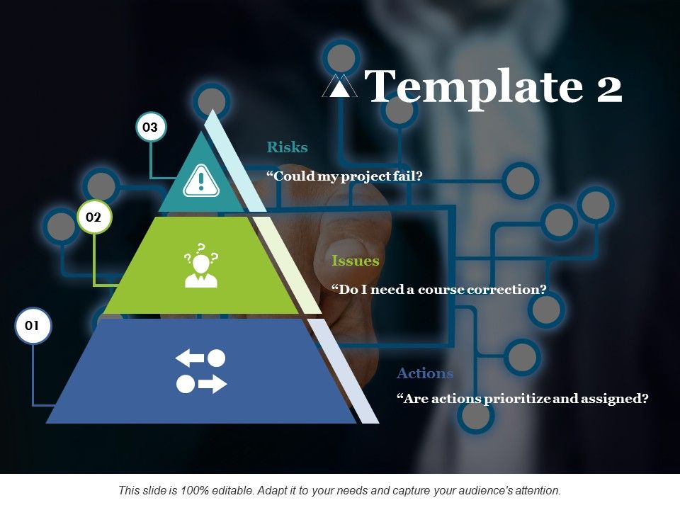 Risks_Issues_Actions_Ppt_PowerPoint_Presentation_Pictures_Infographics_Slide_1.jpg