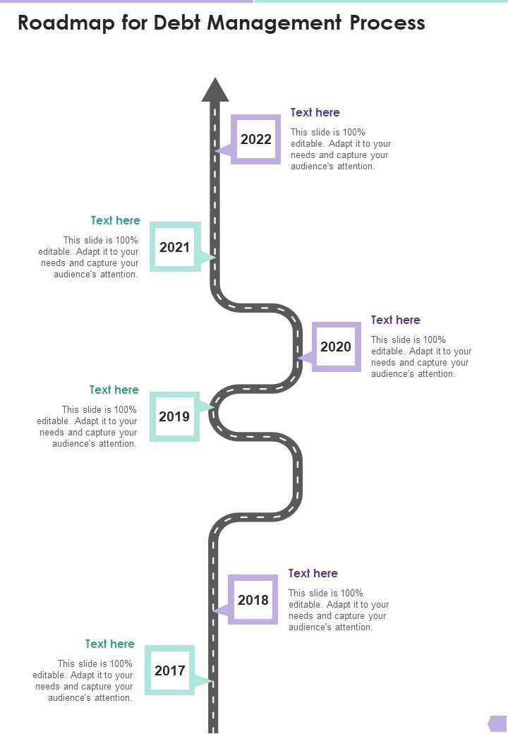 Roadmap_For_Debt_Management_Process_One_Pager_Sample_Example_Document_Slide_1.jpg