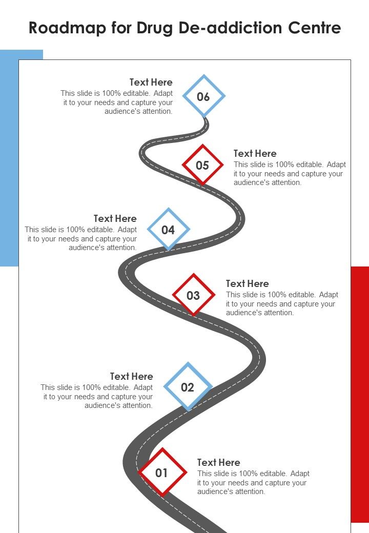 Roadmap_For_Drug_De_Addiction_Centre_One_Pager_Sample_Example_Document_Slide_1.jpg