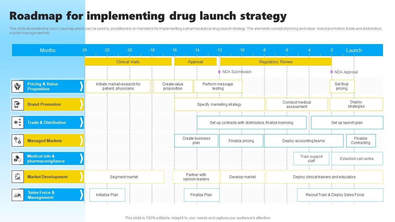 Roadmap_For_Implementing_Drug_Launch_Strategy_Portrait_PDF_Slide_1.jpg
