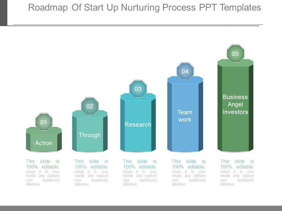 Roadmap_Of_Start_Up_Nurturing_Process_Ppt_Templates_1.jpg