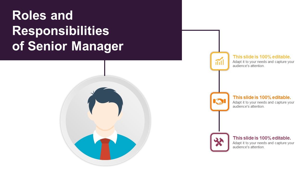 Roles_And_Responsibilities_Of_Senior_Manager_Ppt_PowerPoint_Presentation_Slides_Images_PDF_Slide_1.jpg