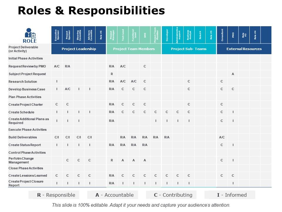 Roles_And_Responsibilities_Ppt_PowerPoint_Presentation_Pictures_Background_Image_Slide_1.jpg
