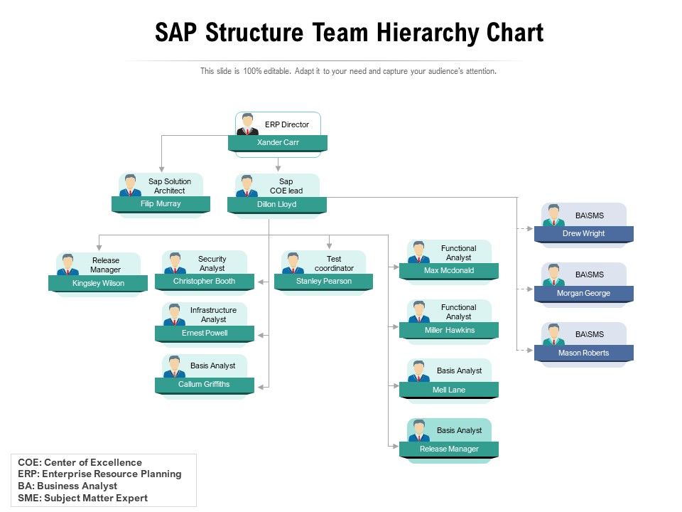 SAP_Structure_Team_Hierarchy_Chart_Ppt_PowerPoint_Presentation_File_Examples_PDF_Slide_1.jpg