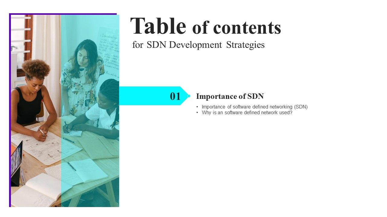 SDN_Development_Strategies_Table_Of_Contents_Ppt_Model_Tips_PDF_Slide_1.jpg