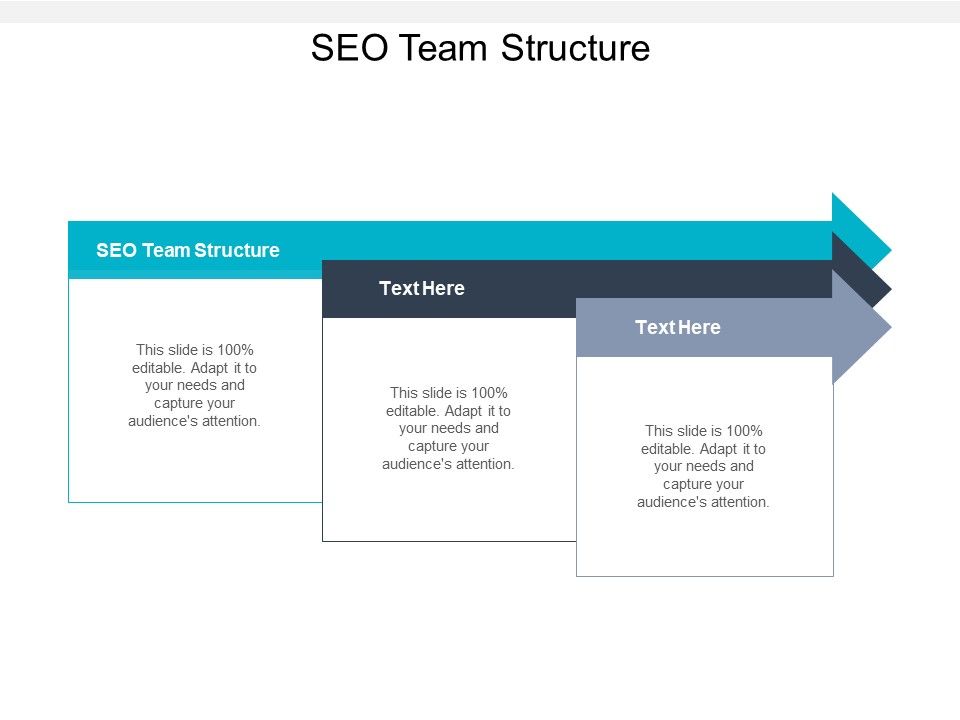 SEO_Team_Structure_Ppt_PowerPoint_Presentation_Show_Layouts_Cpb_Slide_1.jpg