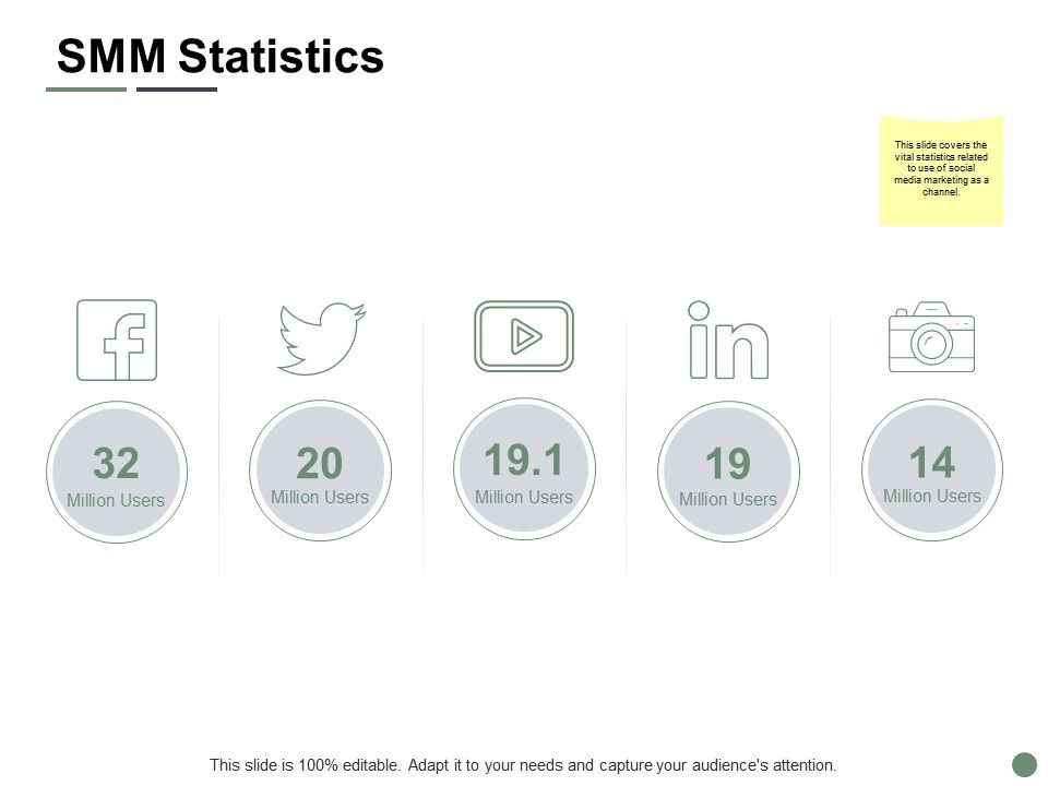 SMM_Statistics_Ppt_PowerPoint_Presentation_Summary_Slide_Portrait_Slide_1.jpg