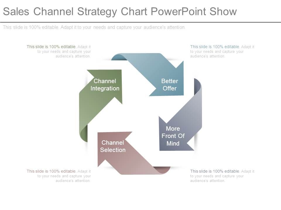 Sales_Channel_Strategy_Chart_Powerpoint_Show_1.jpg
