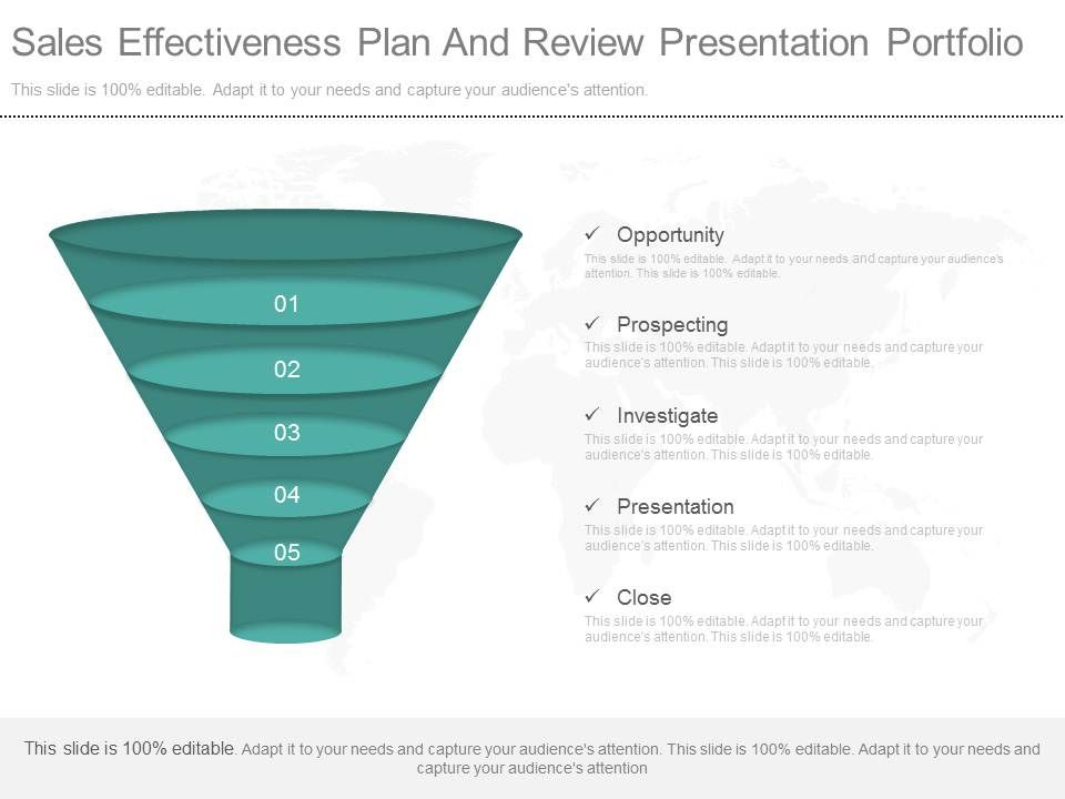 Sales_Effectiveness_Plan_And_Review_Presentation_Portfolio_1.jpg