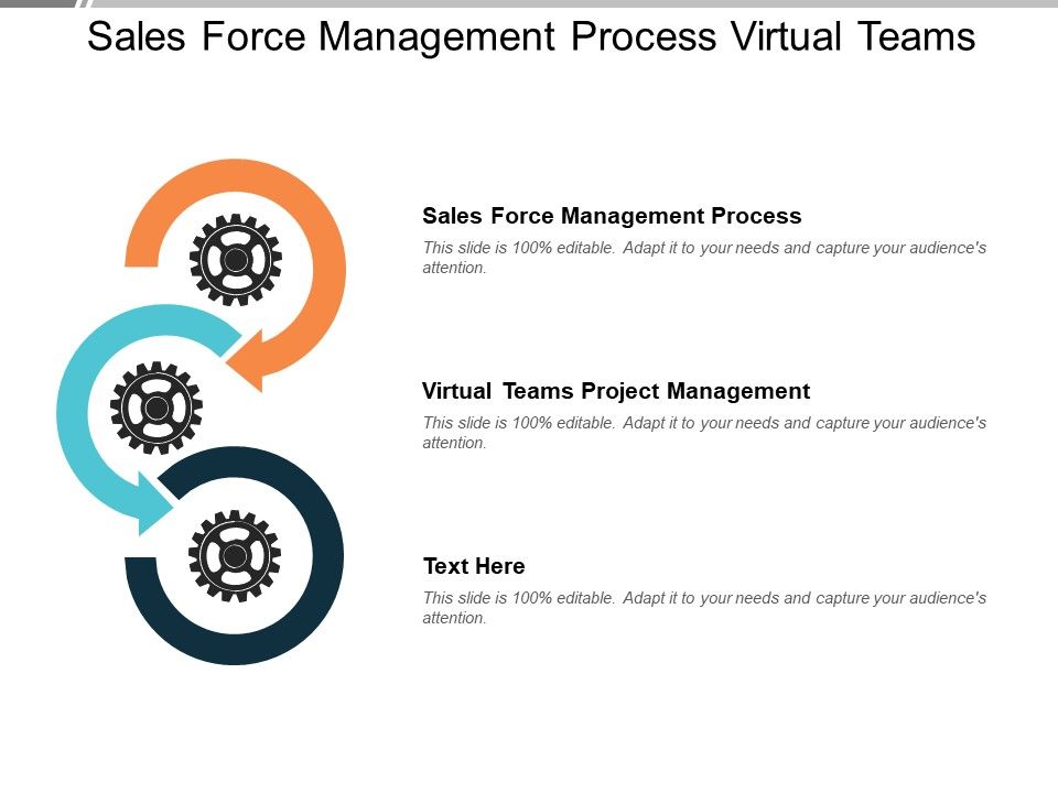 Sales_Force_Management_Process_Virtual_Teams_Project_Management_Ppt_PowerPoint_Presentation_Show_Objects_Slide_1.jpg