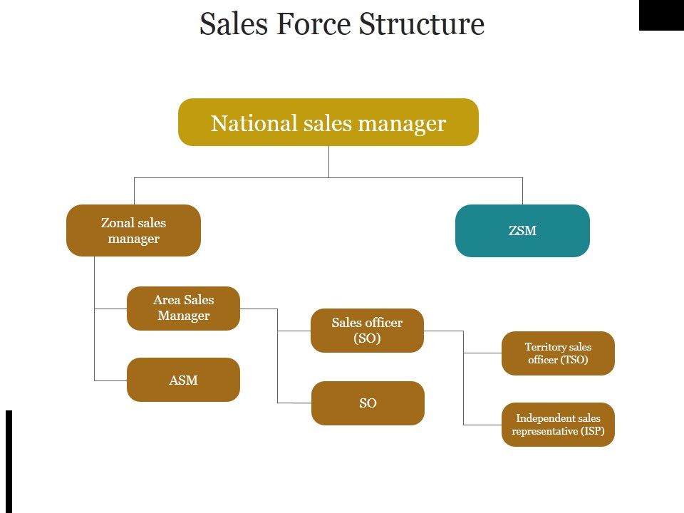 Sales_Force_Structure_Ppt_PowerPoint_Presentation_Icon_Templates_Slide_1.jpg