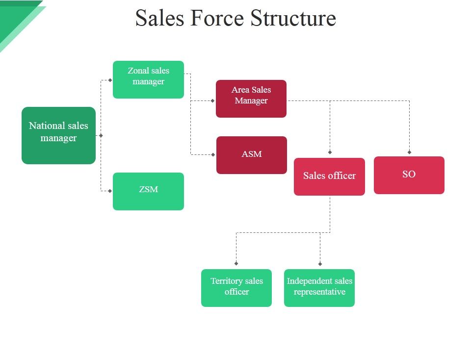 Sales_Force_Structure_Ppt_PowerPoint_Presentation_Inspiration_Outline_Slide_1.jpg