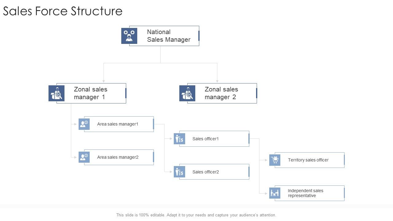 Sales_Force_Structure_Startup_Business_Strategy_Ppt_Model_Sample_PDF_Slide_1.jpg