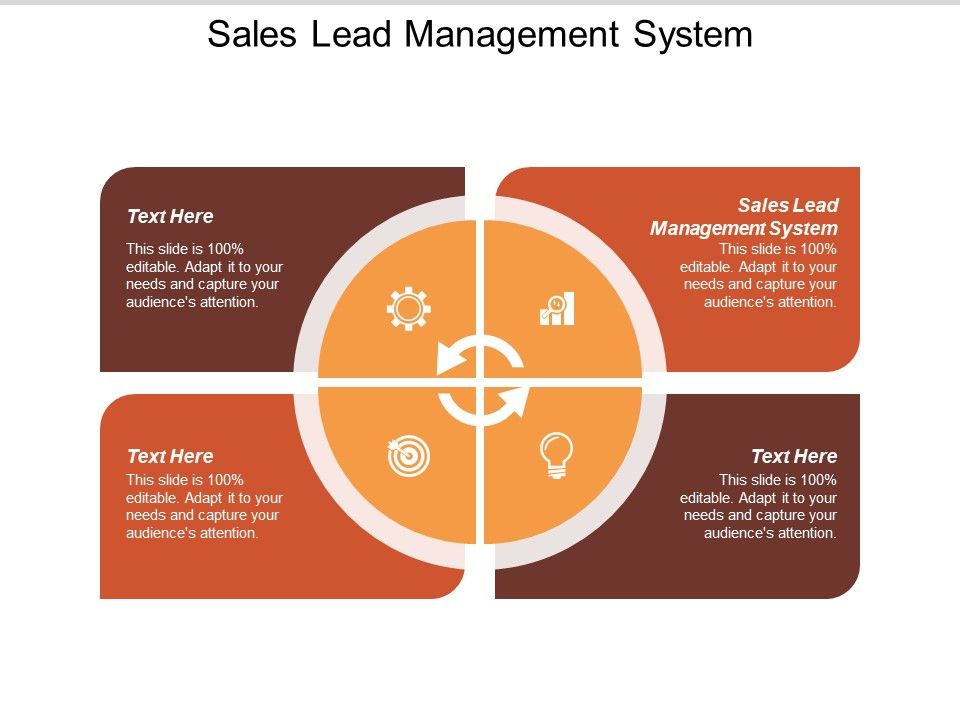 Sales_Lead_Management_System_Ppt_PowerPoint_Presentation_Picture_Slide_1.jpg