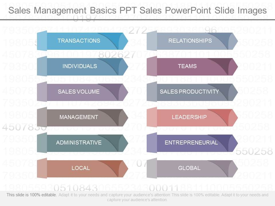 Sales_Management_Basics_Ppt_Sales_Powerpoint_Slide_Images_1.jpg