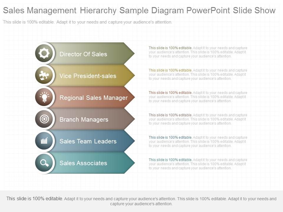 Sales_Management_Hierarchy_Sample_Diagram_Powerpoint_Slide_Show_1.jpg