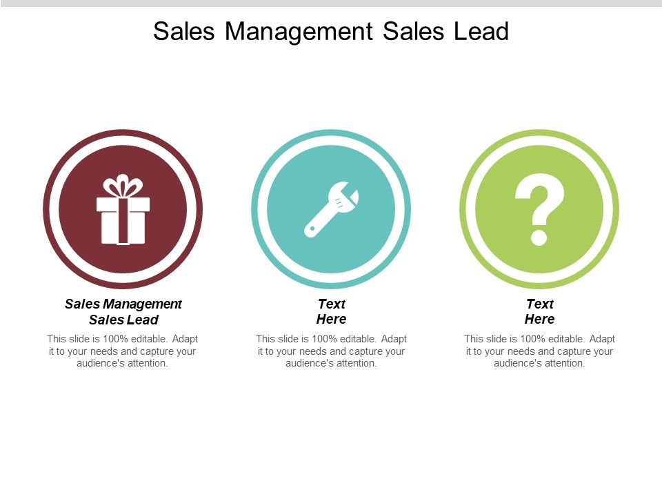 Sales_Management_Sales_Lead_Ppt_PowerPoint_Presentation_Show_Tips_Cpb_Slide_1.jpg