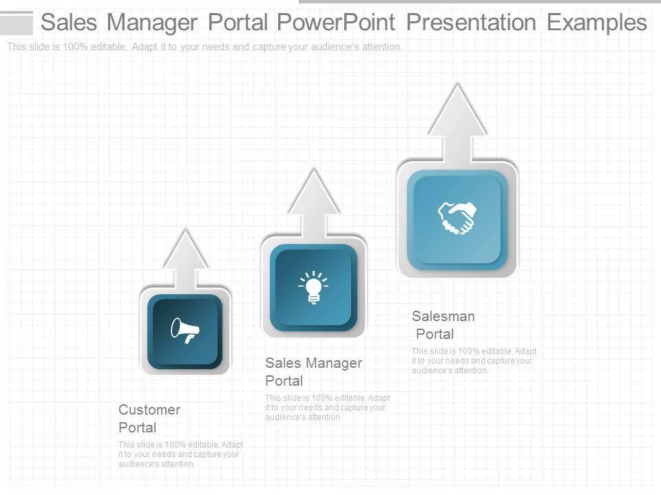 Sales_Manager_Portal_Powerpoint_Presentation_Examples_1.jpg