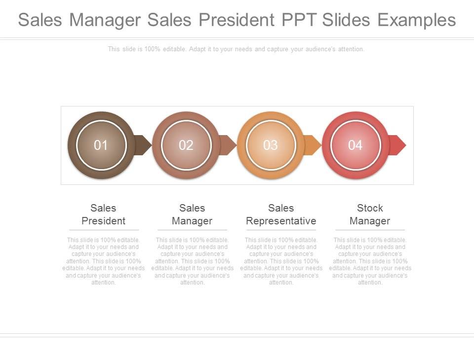 Sales_Manager_Sales_President_Ppt_Slides_Examples_1.jpg
