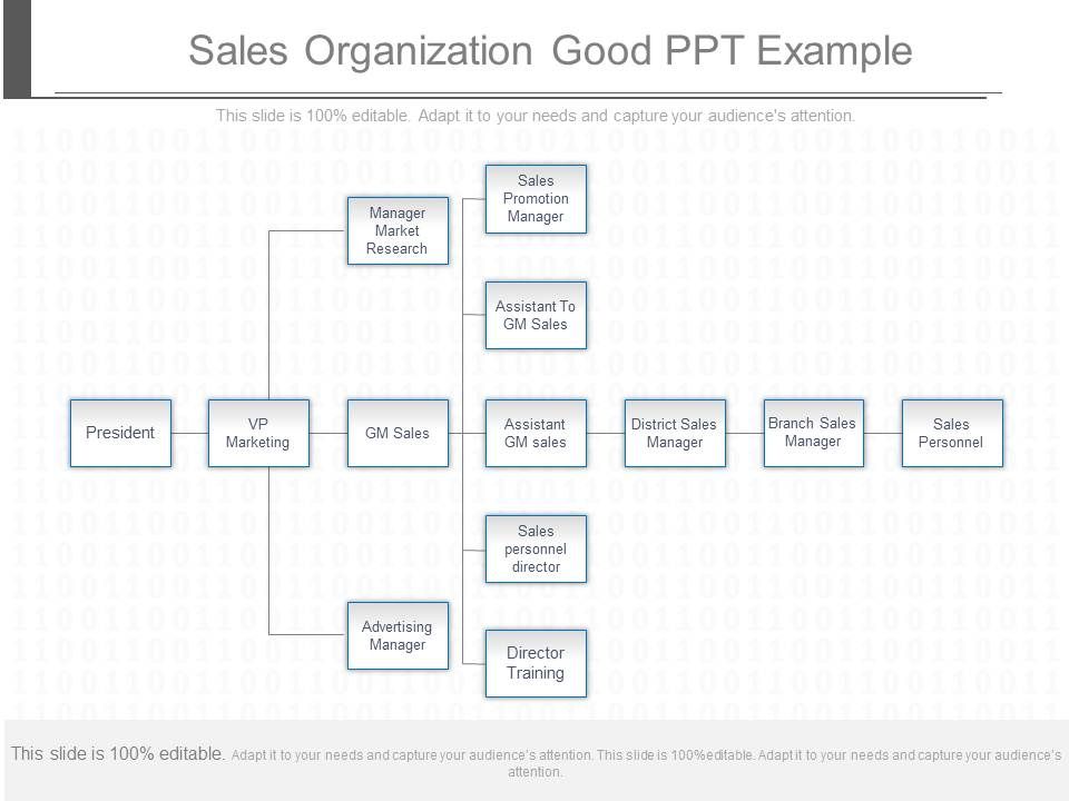 Sales_Organization_Good_Ppt_Example_1.jpg